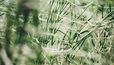 Como fazer um amuleto da sorte com suas próprias mãos