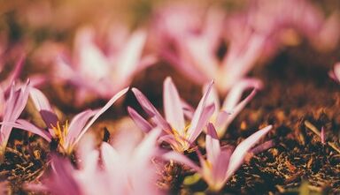 como fazer um amuleto da sorte com suas próprias mãos